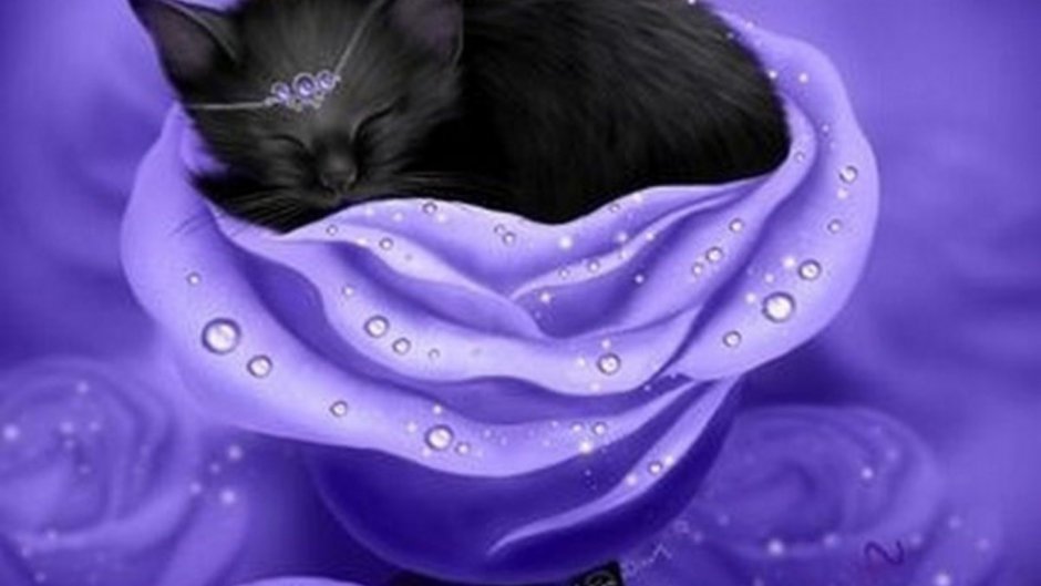 Красивая кошка с розой