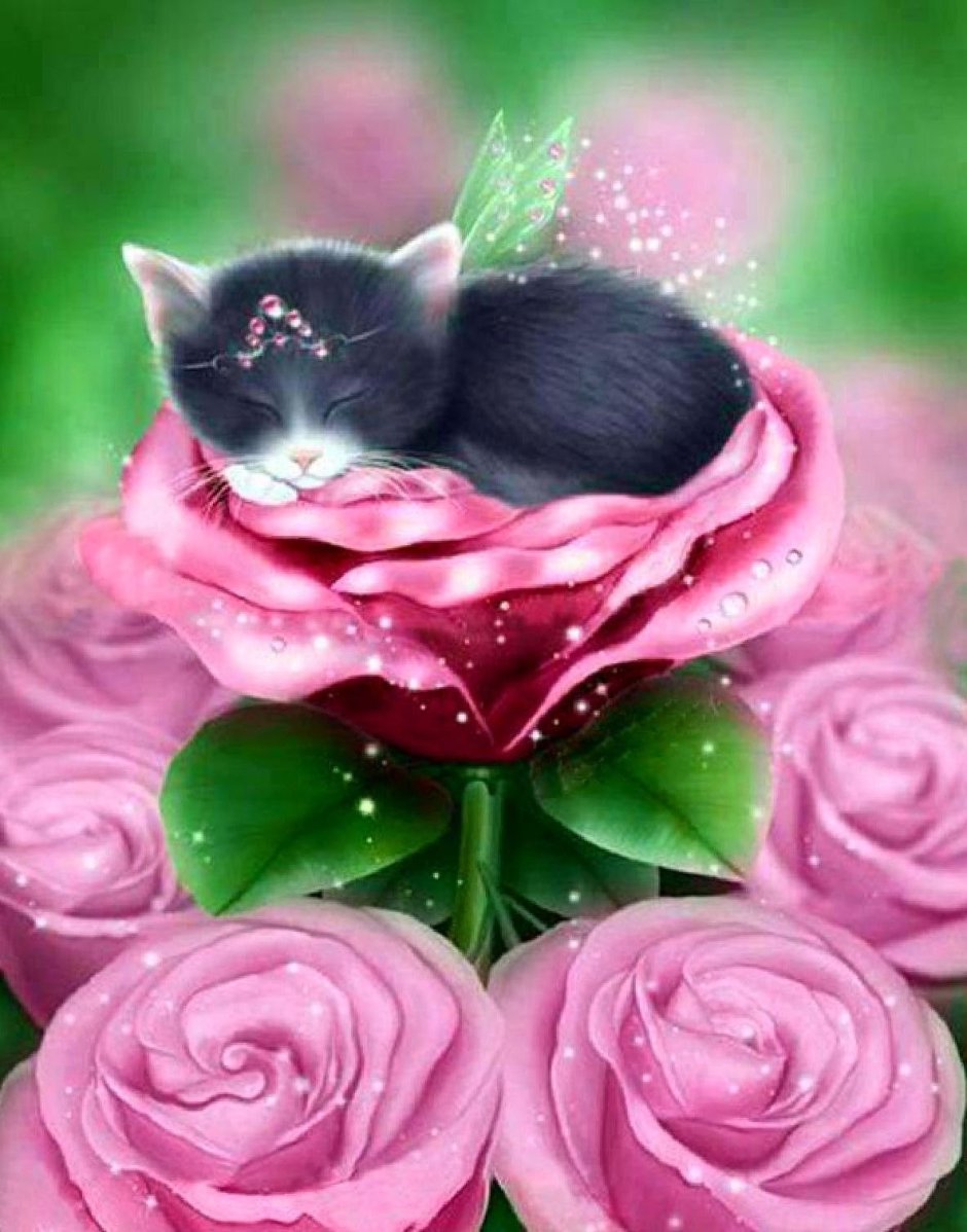 Котик с розой