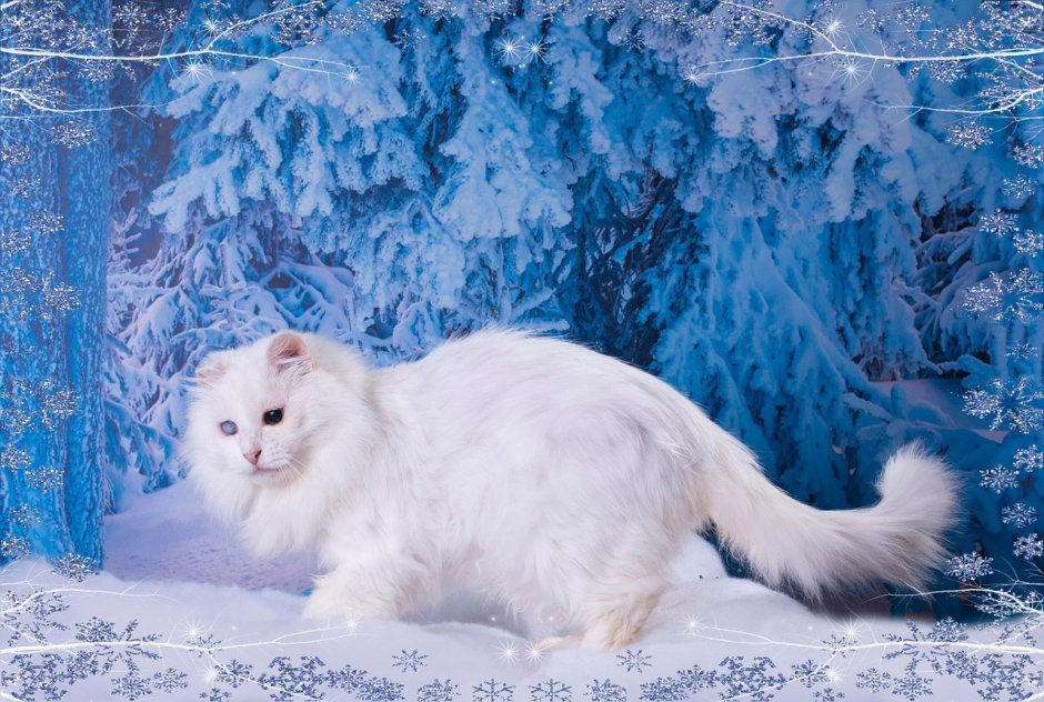 Снежная кошка