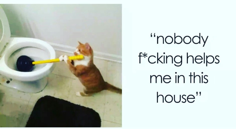 Котик уборщик