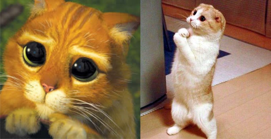 Кот из Шрека глаза