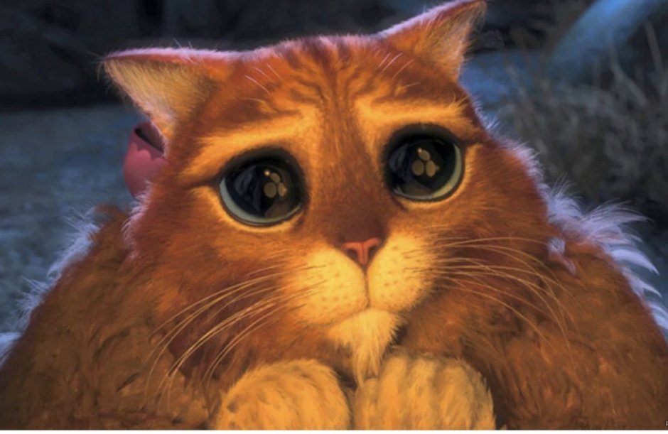 Котенок с большими глазами