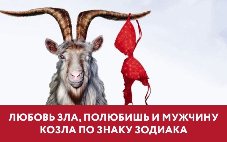 Любовь зла полюбишь и козла
