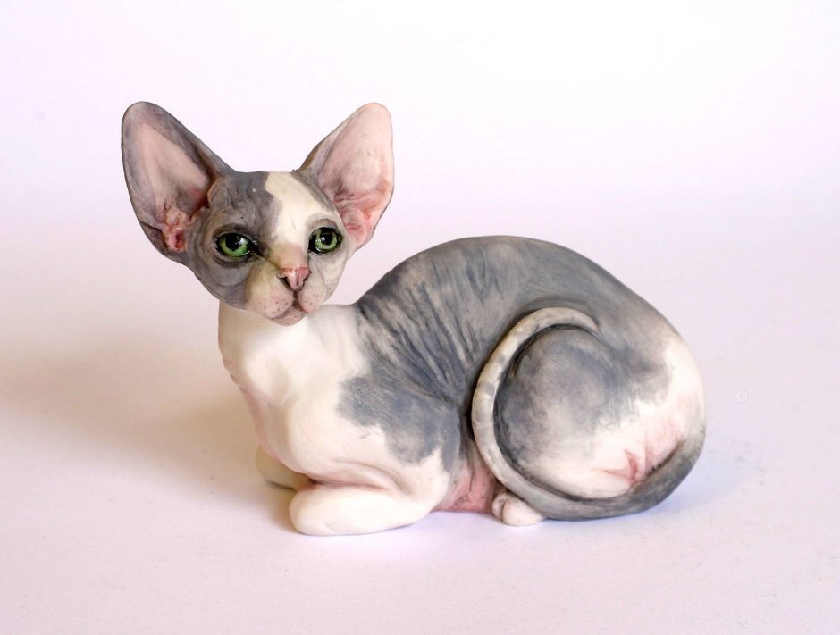 Allegra Sphynx