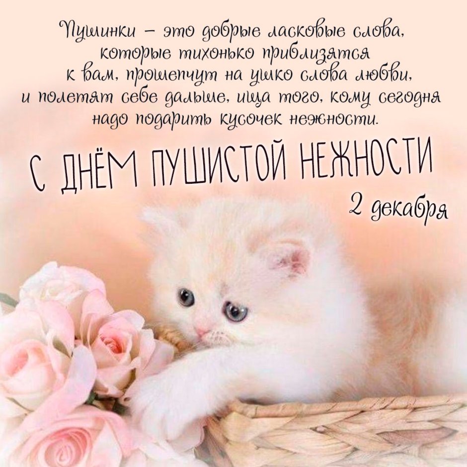 Ласковые пушистые котята