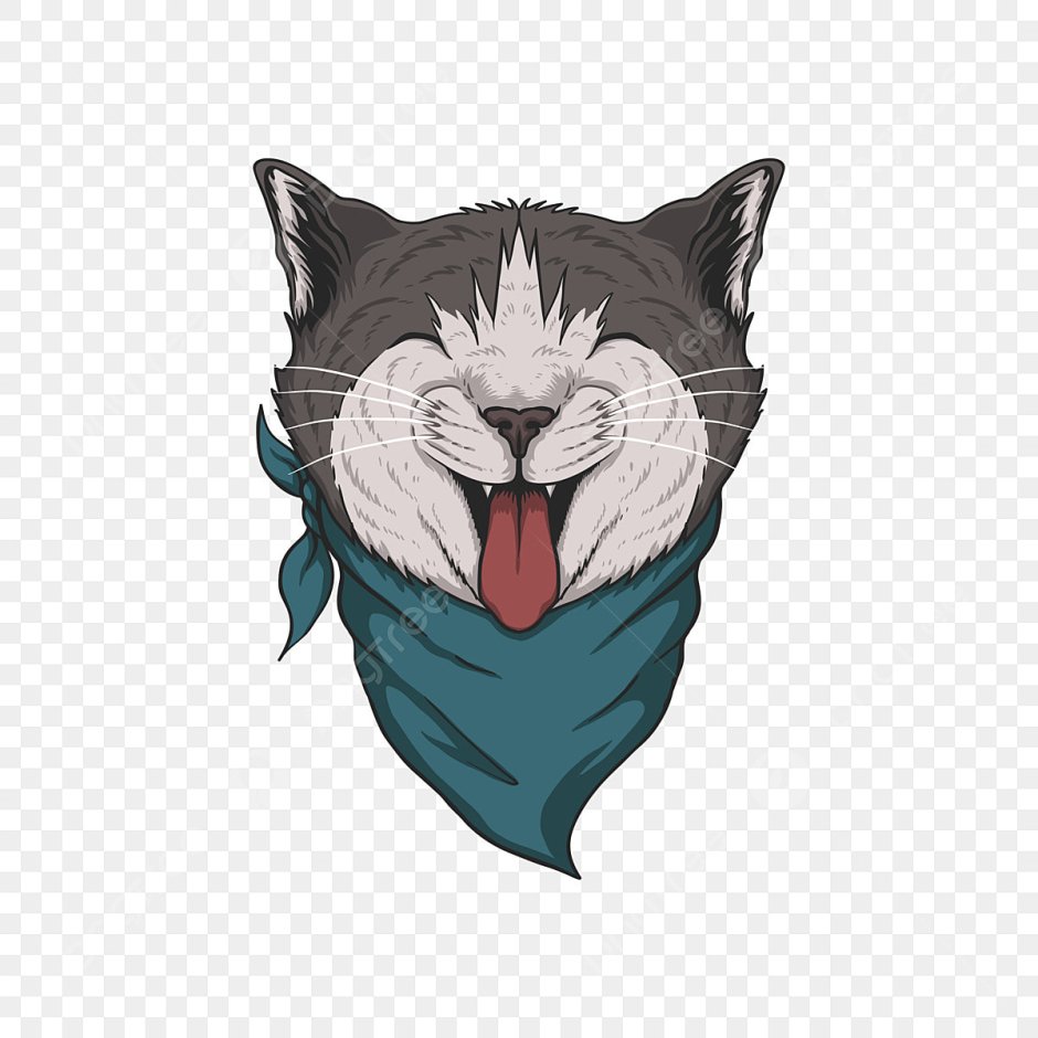 Кот в бандане рисунок