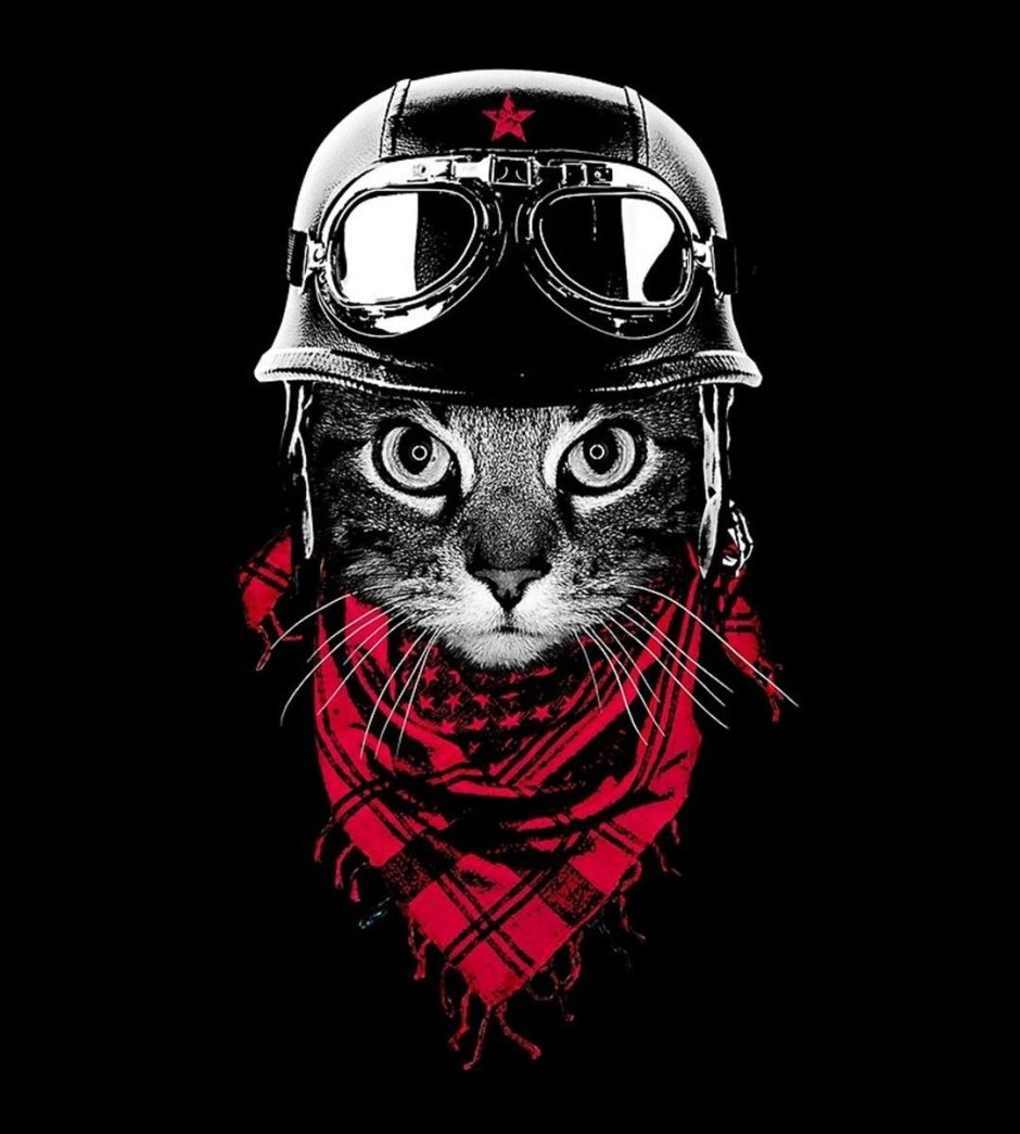 Шапочка котик для девочки