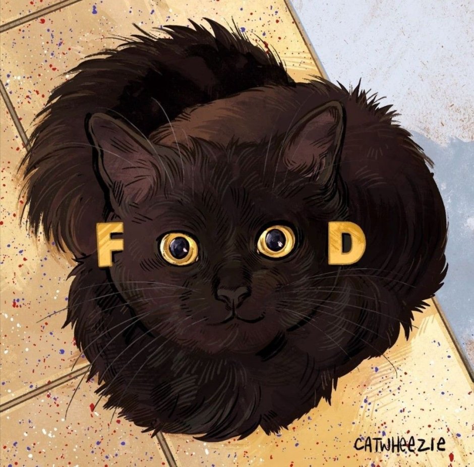 Черный кот food