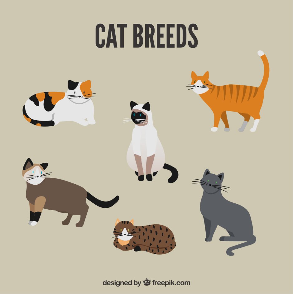 Иллюстрации кошки Flat