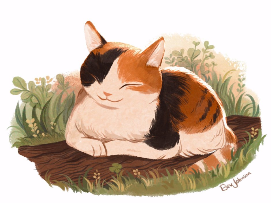 Рисунок живой кошки