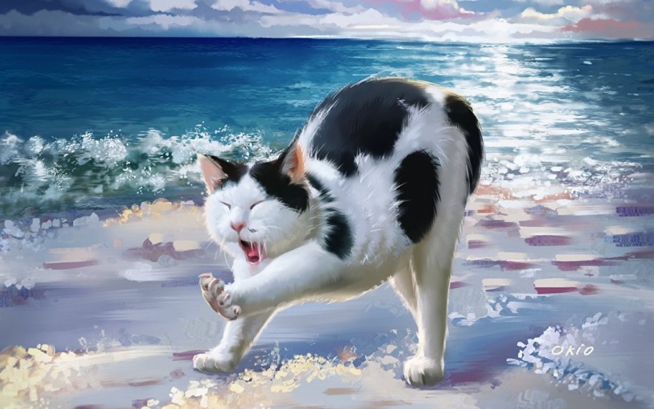 Кот на море