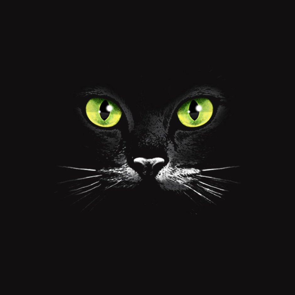 Глаза черной кошки
