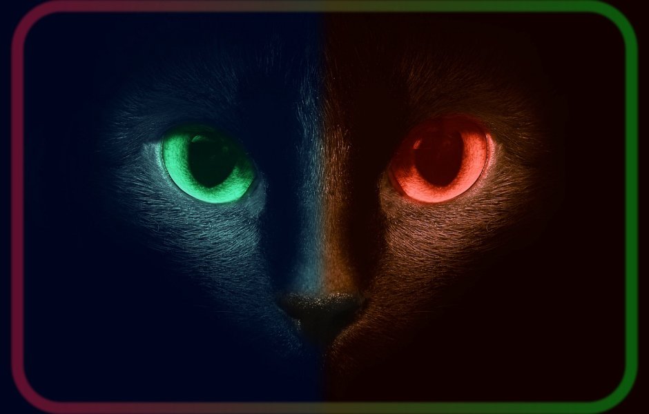 Кошачьи глаза в темноте