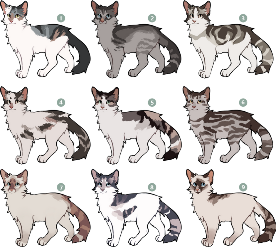 Коты Воители окрасы