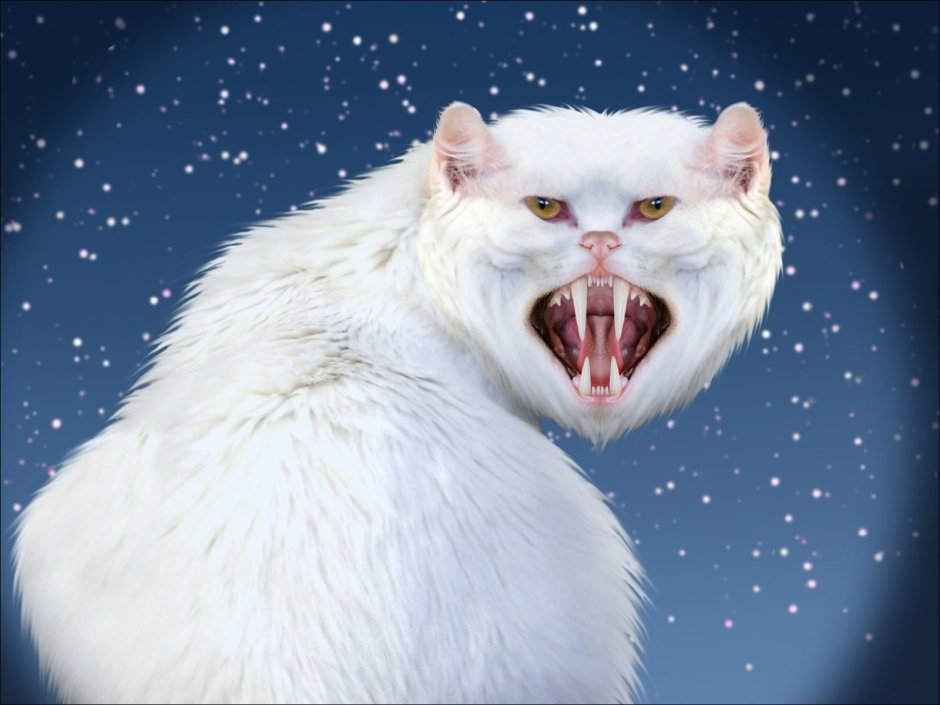 Страшный белый кот