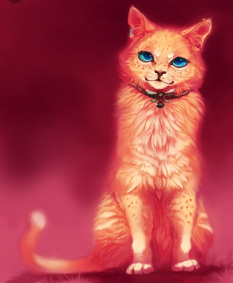 Коты Воители Солнцезвезд