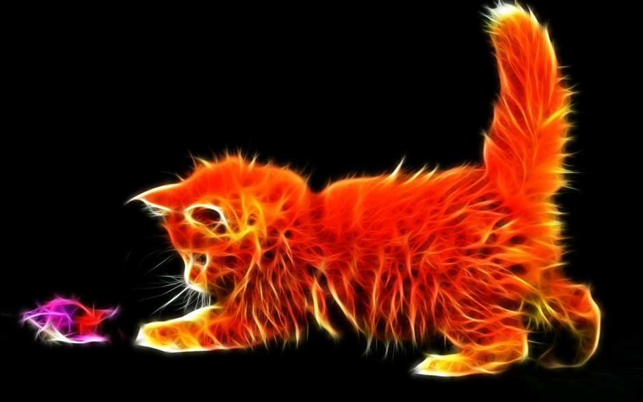 Коты с переплетенными хвостами
