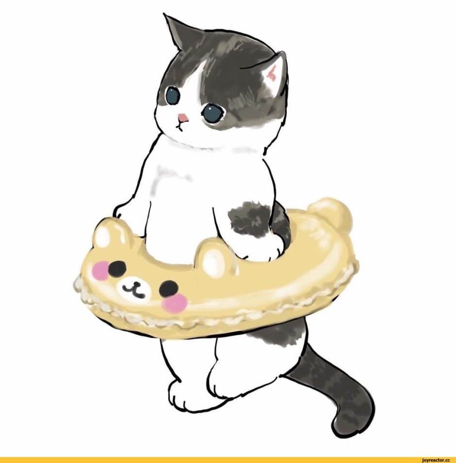 Котики Mofu