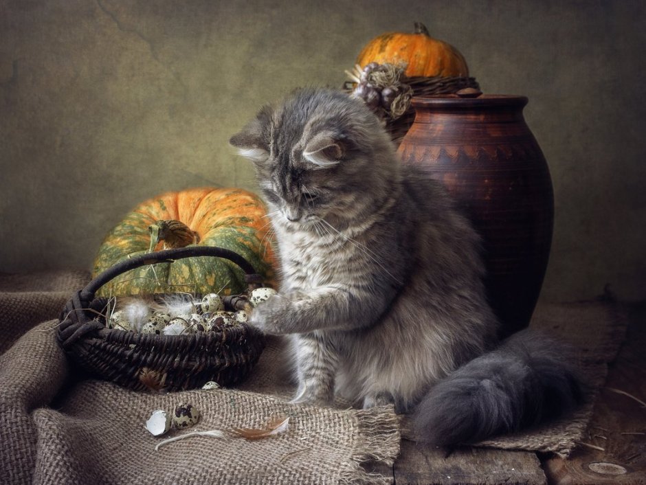 Фотохудожник Ирина Приходько