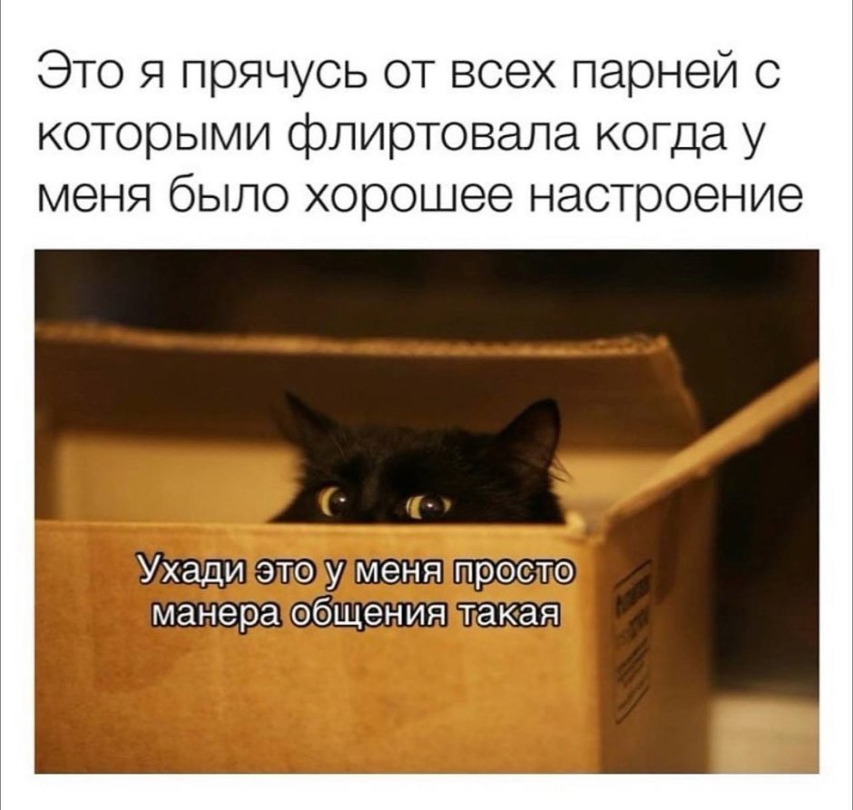 Юмор лучшее короткие