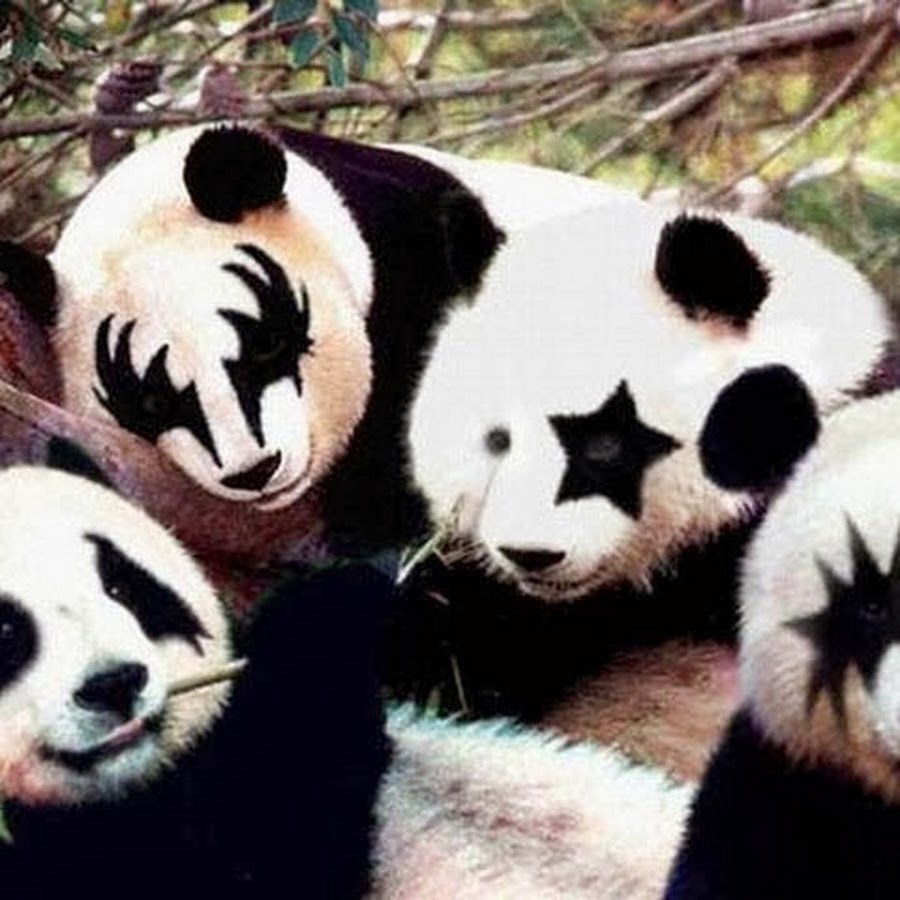 Панда в Казани