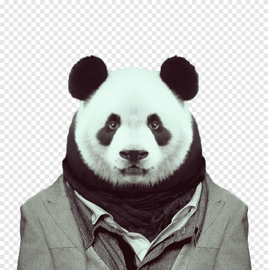 Пандае пандае клип на английском