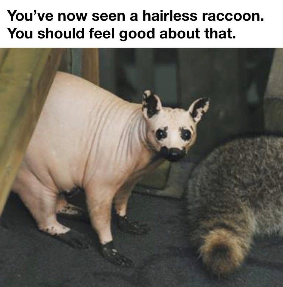 Маскарад Панда