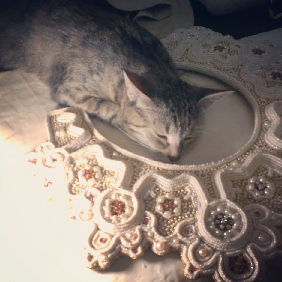 Кошка в кокошнике