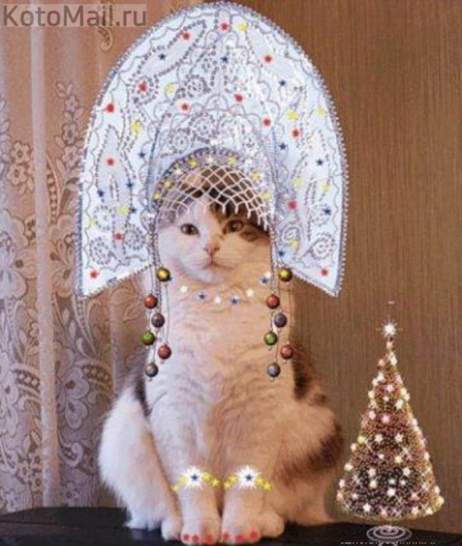 Костюм Снегурочки для кошки