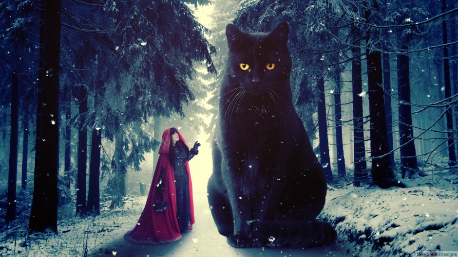 Кошка зима
