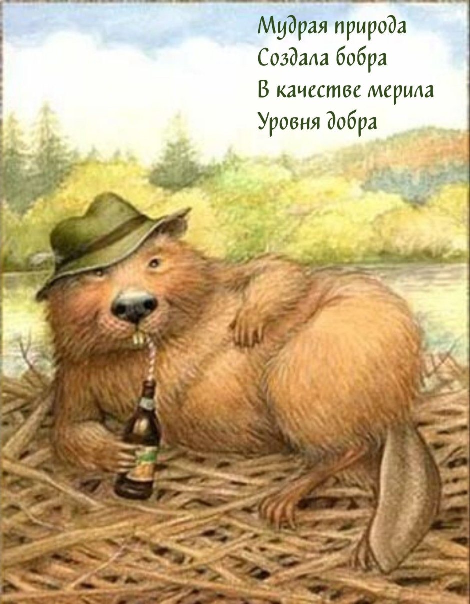 Смешной бобёр нарисованный
