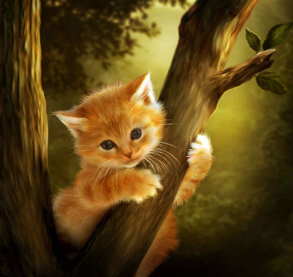 Рыжий котёнок