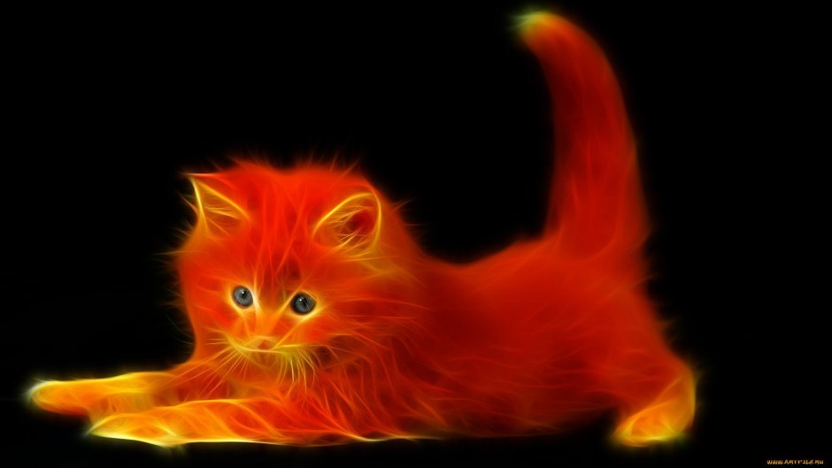 Огненный кот