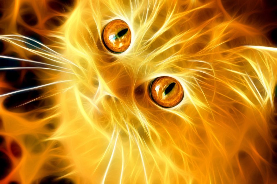 Огненная кошка