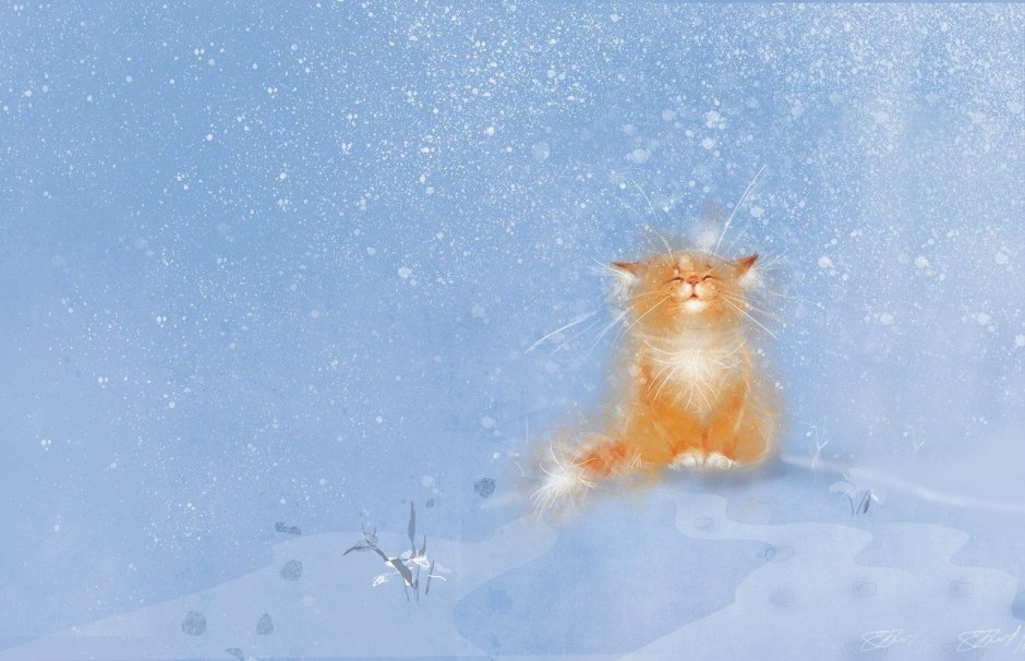 Кот зима солнце