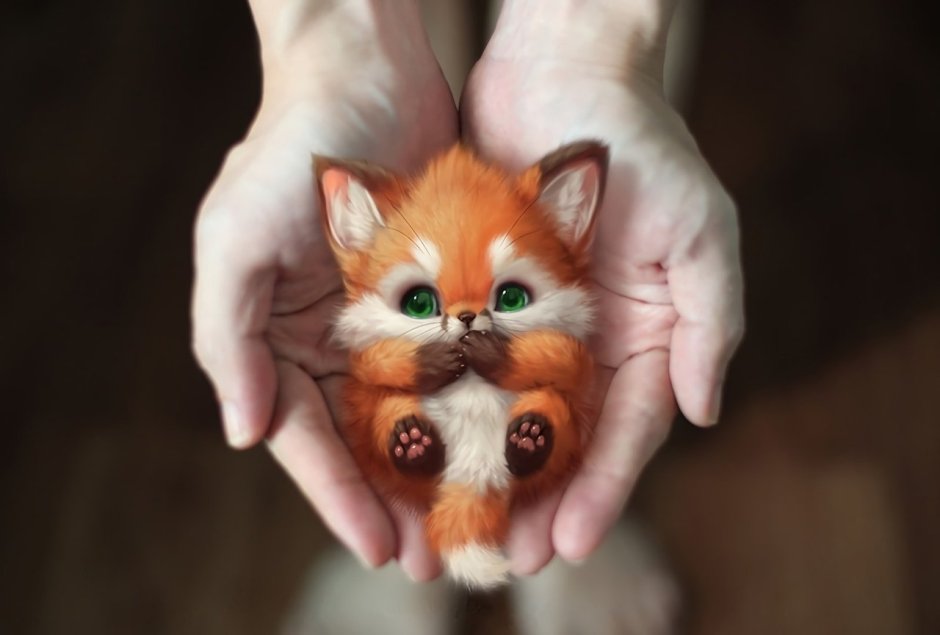Art of Silverfox лисята