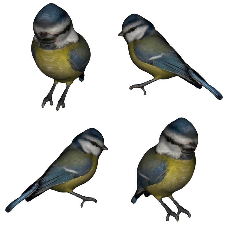 Синичка птица