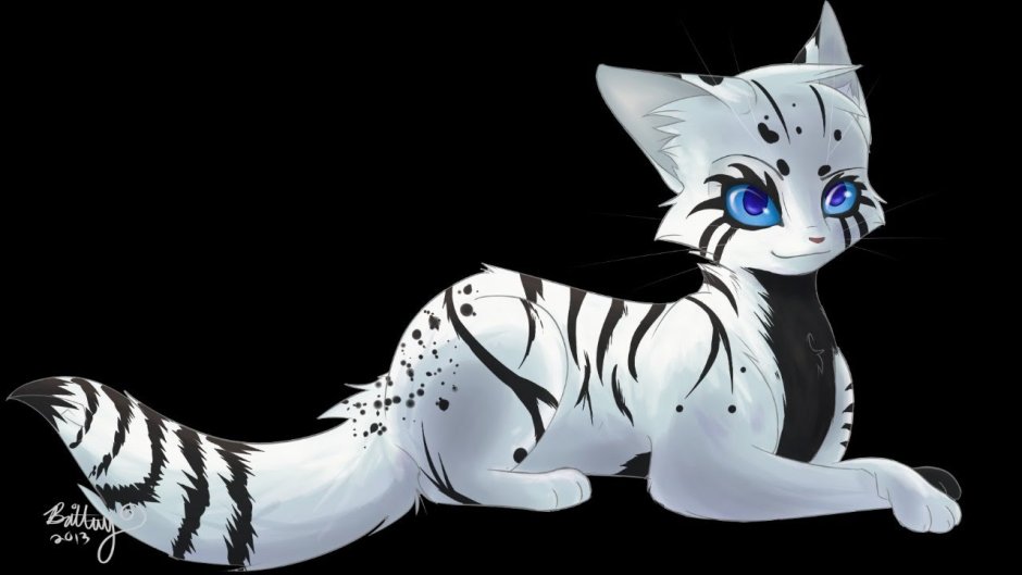 Коты воитель кошка чернобелач
