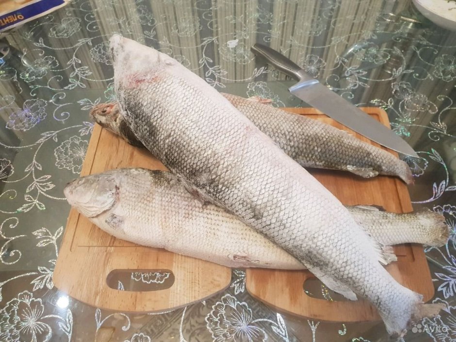 Нельма строганина