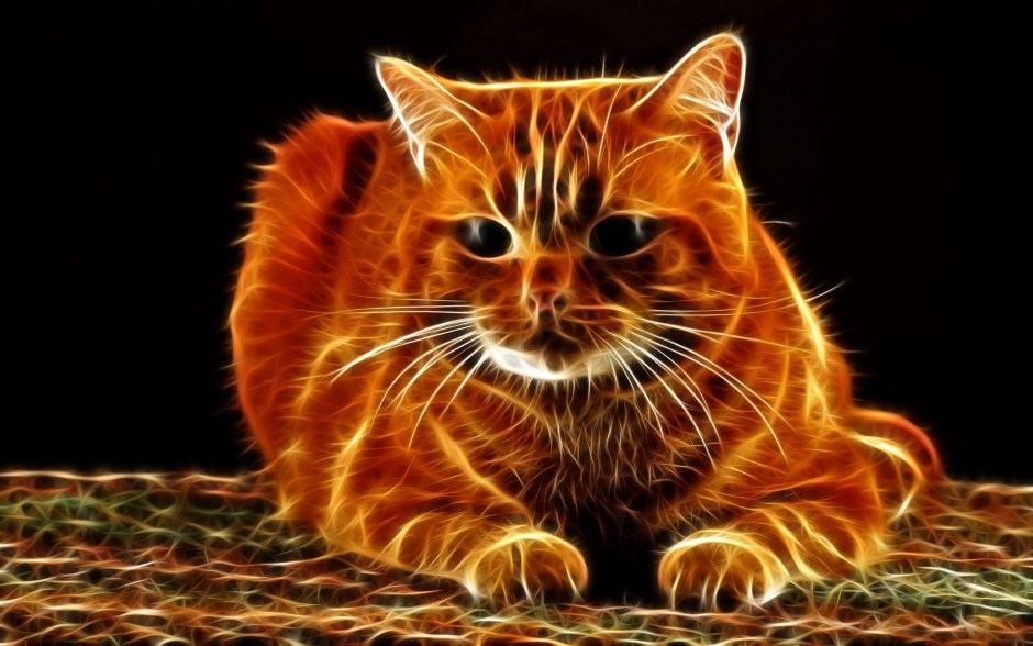 Огненно рыжий кот