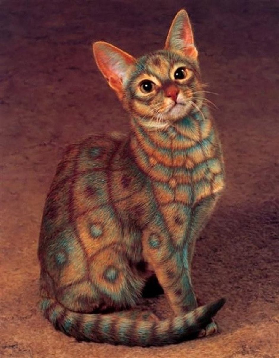 Египетская МАУ кошка