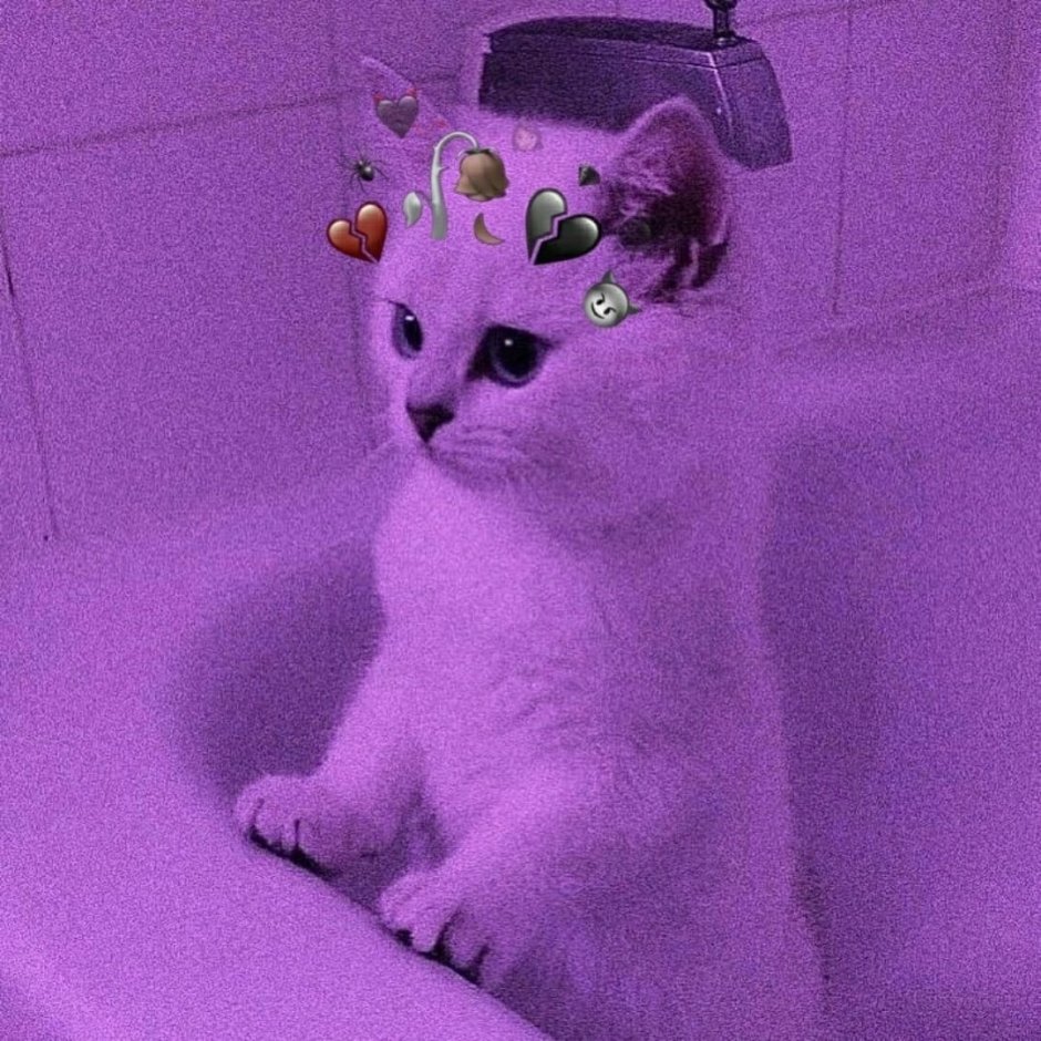 Фиолетовый кот Эстетика