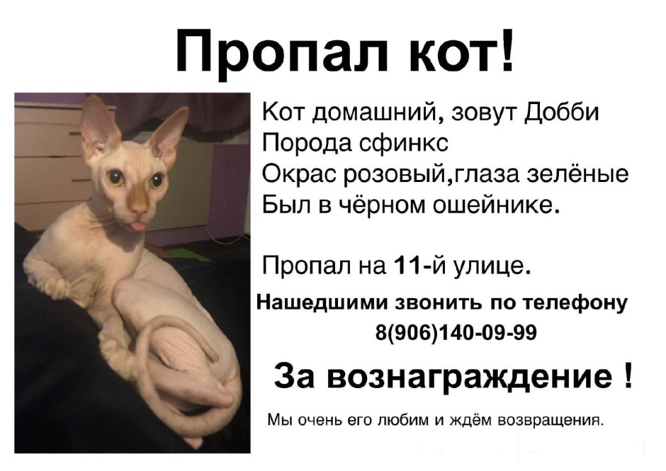 Собака Добби