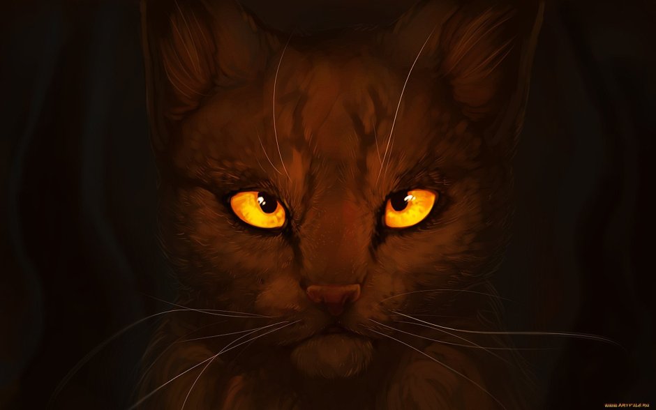 Коты Воители чёрный кот с жёлтыми глазами
