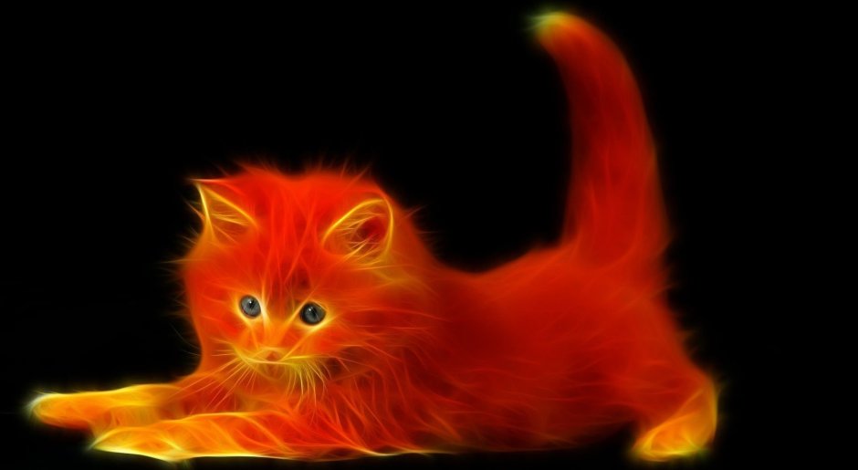 Огненно рыжая кошка