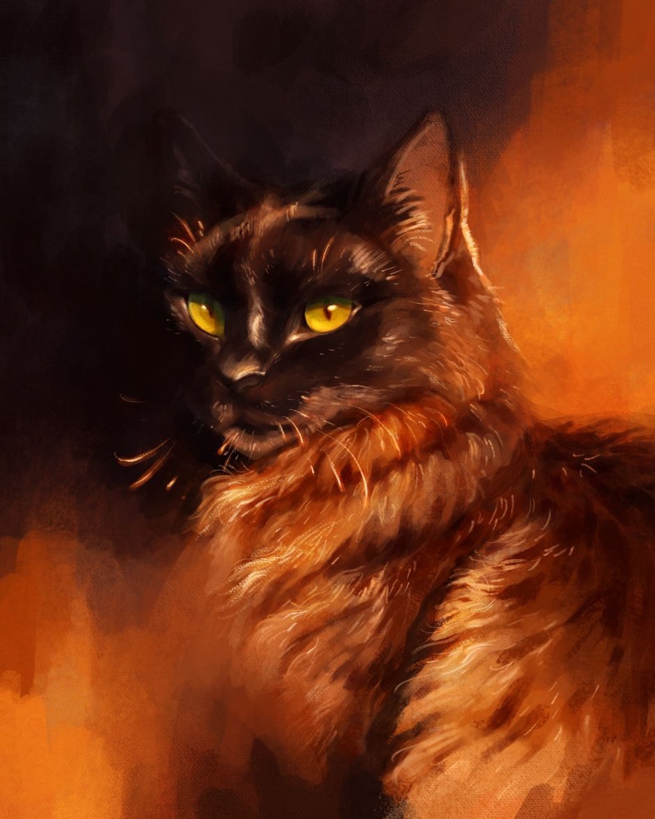 Коты Воители чёрный кот с жёлтыми глазами