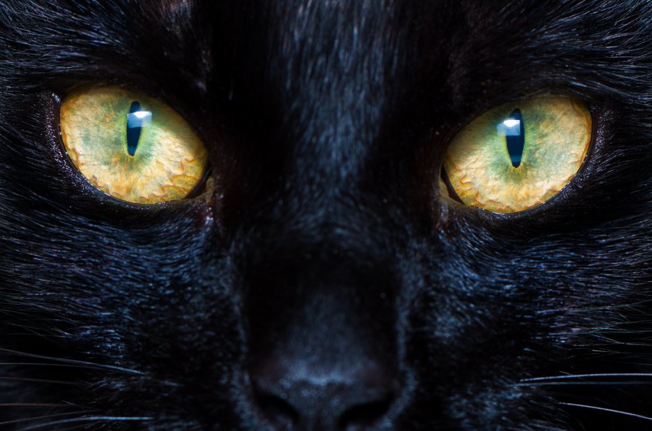 Кошачий глаз