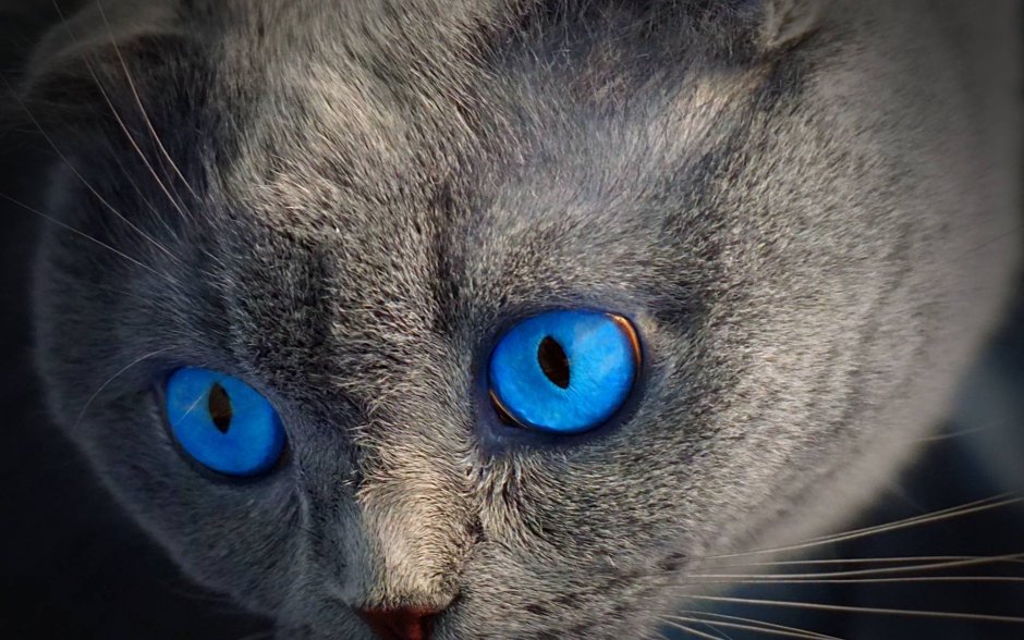 Кошачий глаз