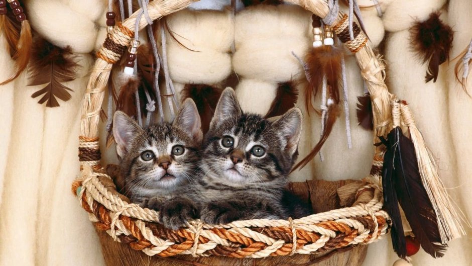 Корзинка для кошки