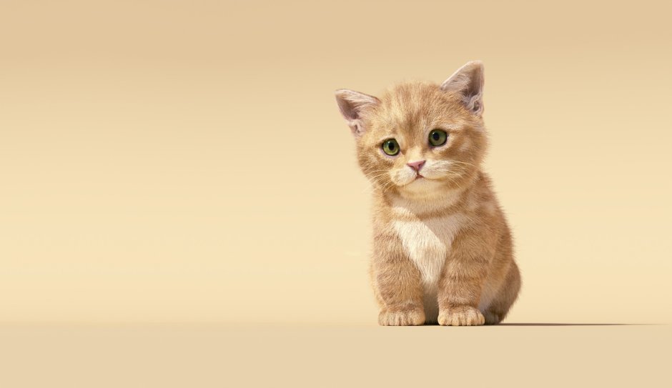 Котики на бежевом фоне